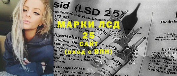 шишки Баксан