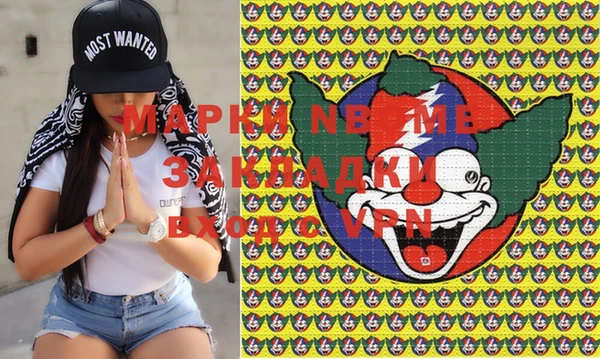 шишки Баксан