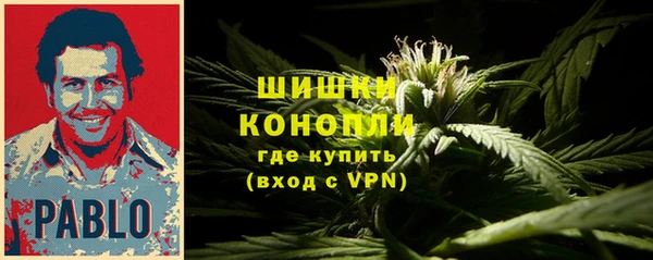 ПСИЛОЦИБИНОВЫЕ ГРИБЫ Армянск