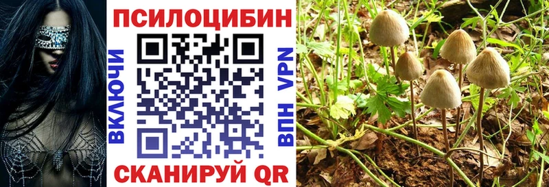 гидра ССЫЛКА  Белогорск  Псилоцибиновые грибы мицелий 